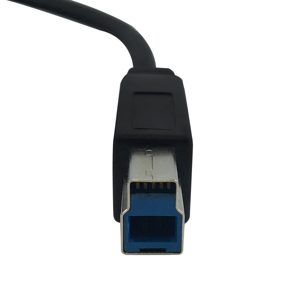 USB 3.1 Type-C Male to B Male Cable 10G 3A - Black - Image 3