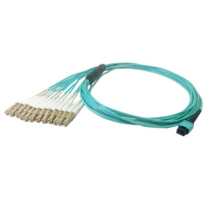 12-Fiber Multimode OM4 12-Position MPO/MTP Female no guide pins to 12x LC/UPC not clipped - OFNP Plenum